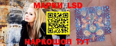 крисы Берёзовский