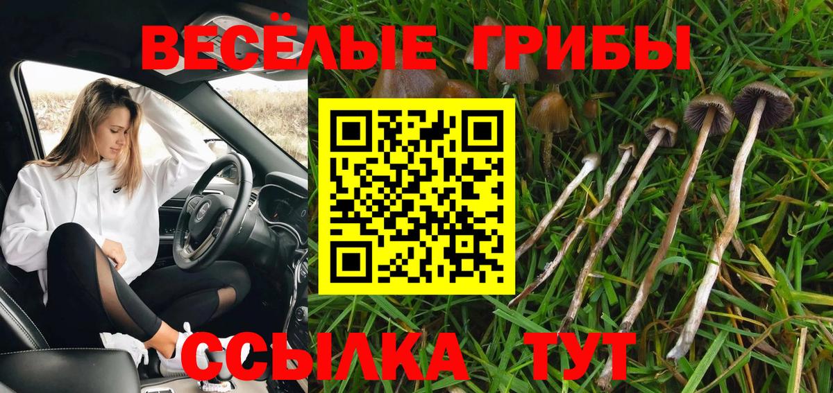 Галлюциногенные грибы прущие грибы  Будённовск 