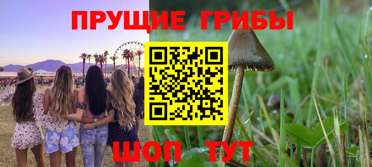 Псилоцибиновые грибы ЛСД Будённовск