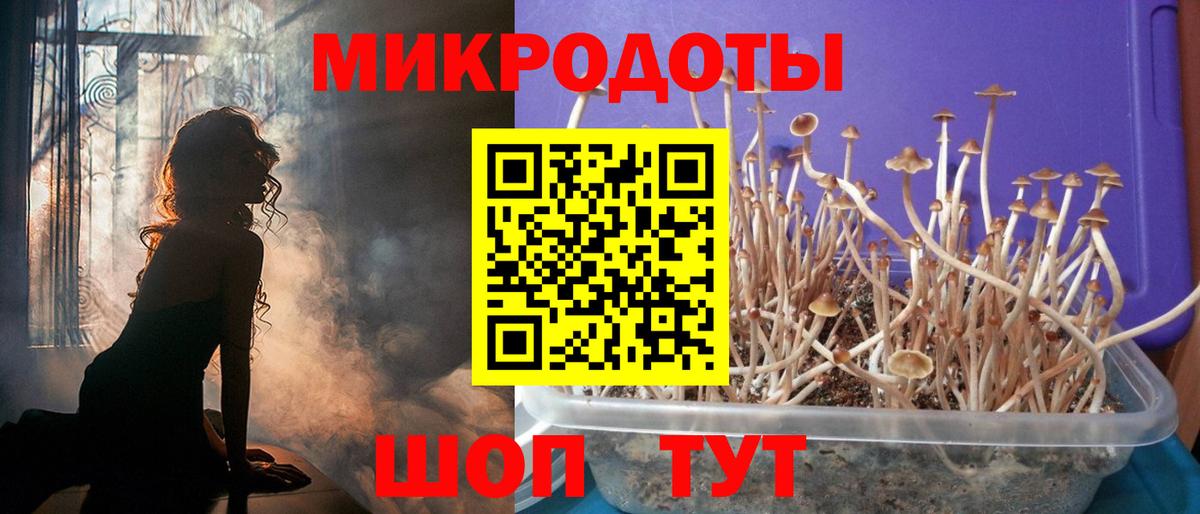 Галлюциногенные грибы Psilocybe  Галлюциногенные грибы ЛСД  Будённовск  Вход с VPN 