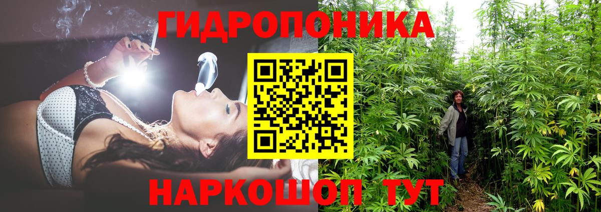 Конопля Bruce Banner  Будённовск  МАРИХУАНА Ganja  Бошки марихуана индика  Шишки марихуана гибрид 